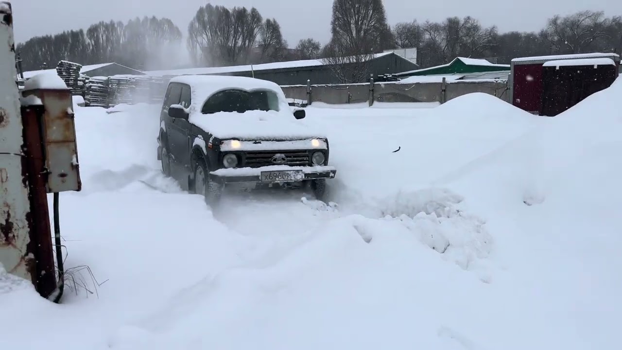 нива vs хонда crv