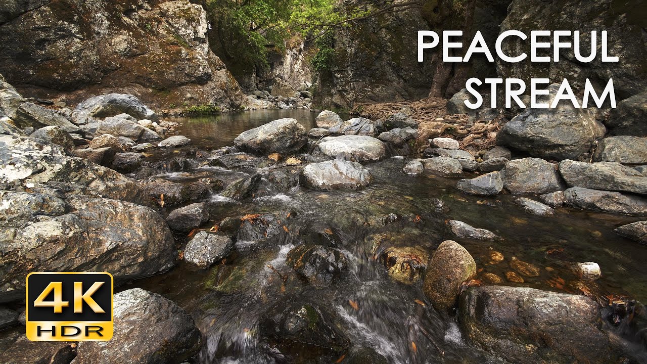 4K HDR Peaceful Stream - Relaxing River Sounds for Sleeping - ASMR - No Birds - Calming Water Flow