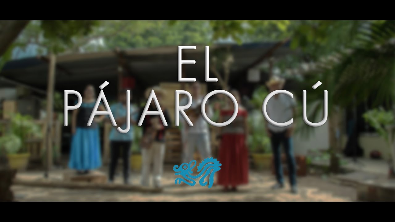 Pájaro Cú