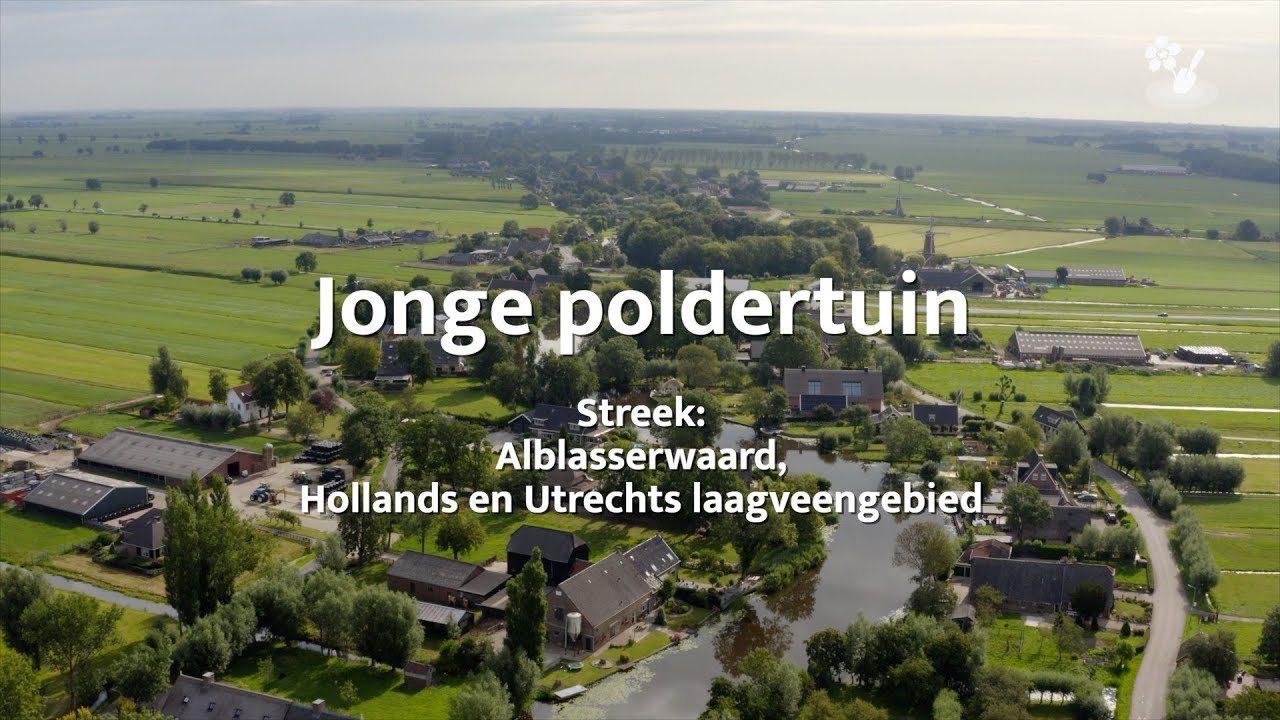 Zo krijg je een poldertuin vol leven (met natuurfilmer Stijn Philips)
