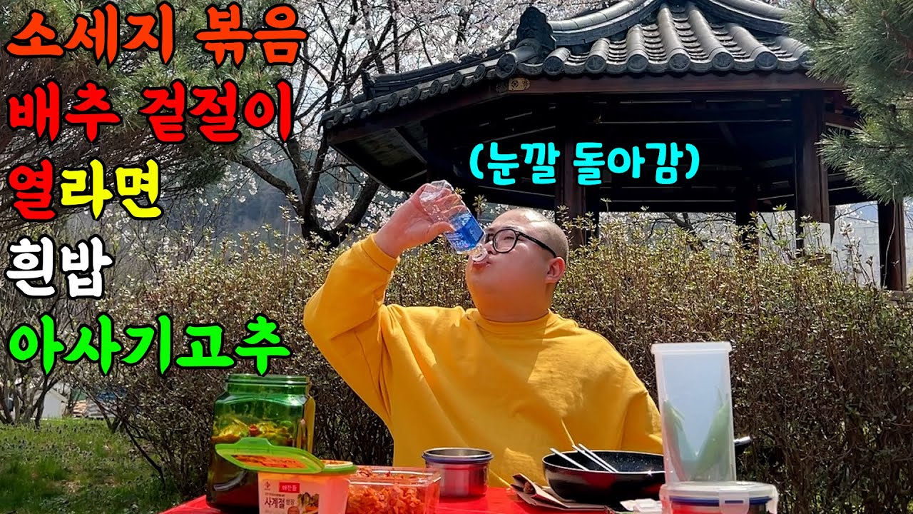 벚꽃보면서 흰밥에 소세지 볶음