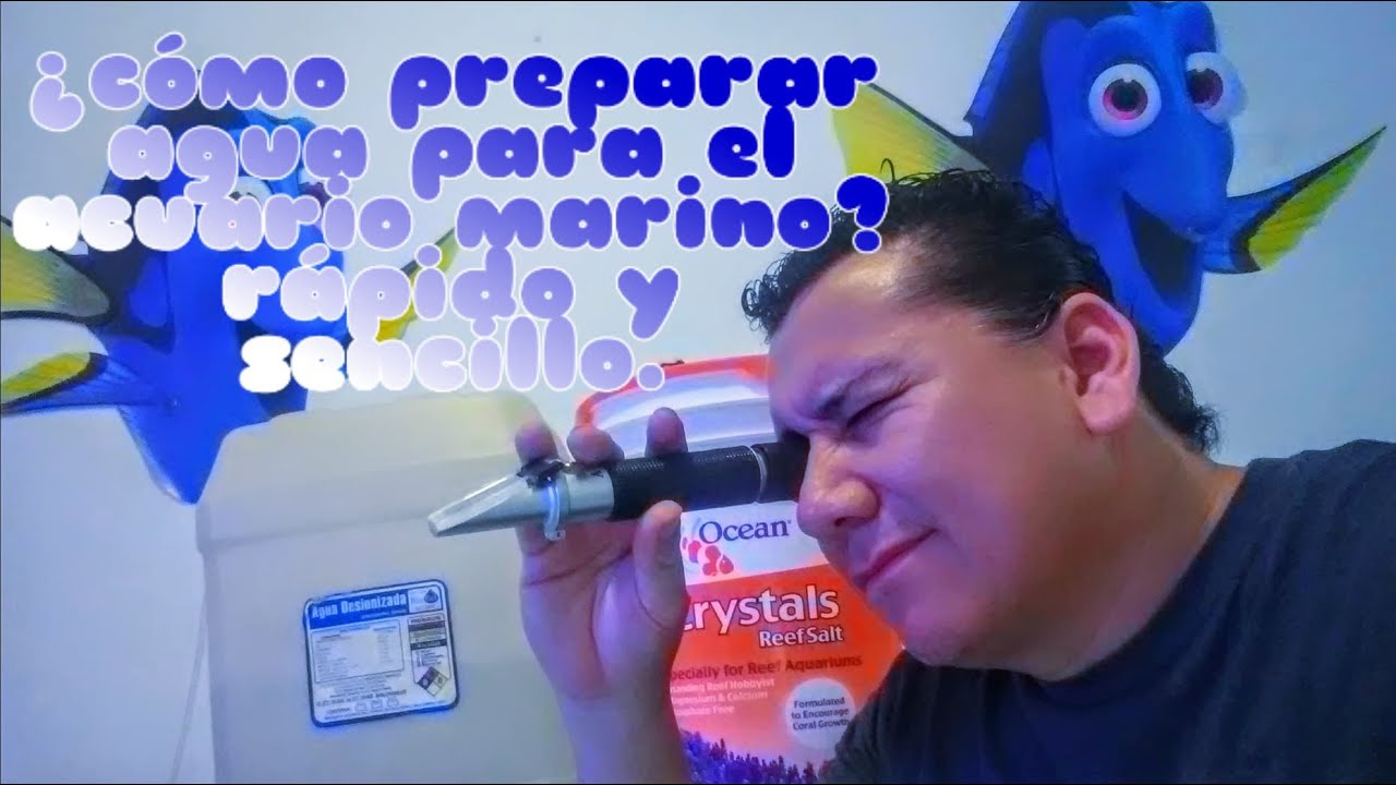 como preparar el agua para tu acuario marino