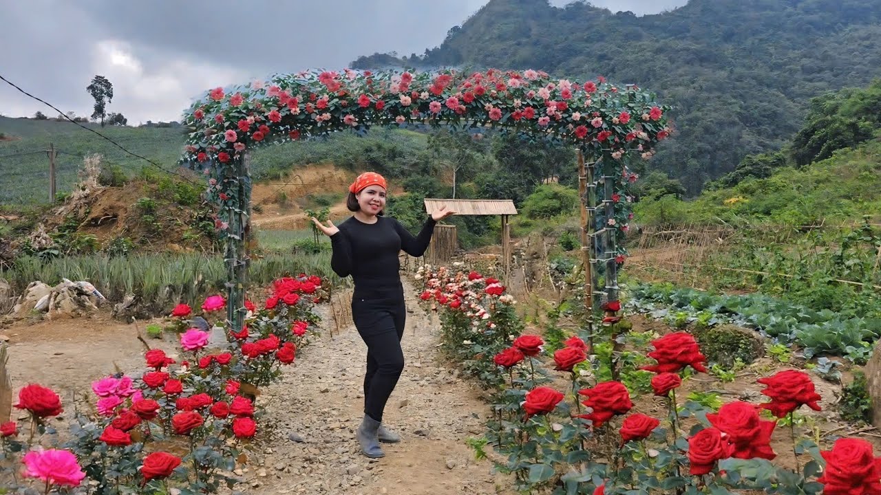 CEO Phuong Plants Flowers and Catches Fish on the Farm to Increase Daily Income