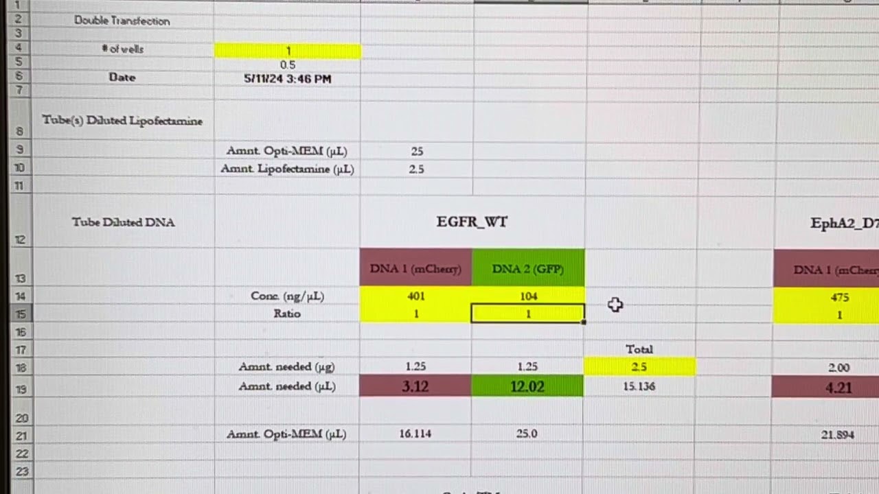 Calculations for transient transfection of EGFR (mCherry and/or eGFP tagged plasmids)