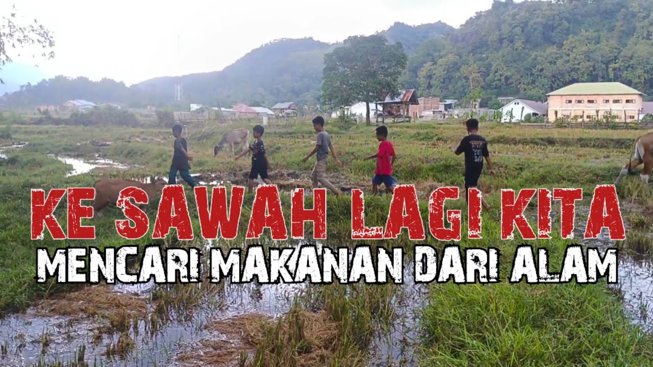 VLOG PART 12 | SI BOLANG DARI DOMPU NTB #vlog