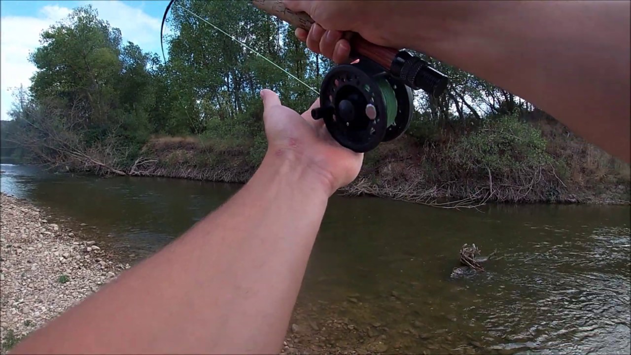 BARBOS a ninfa, demasiadas roturas de línea.