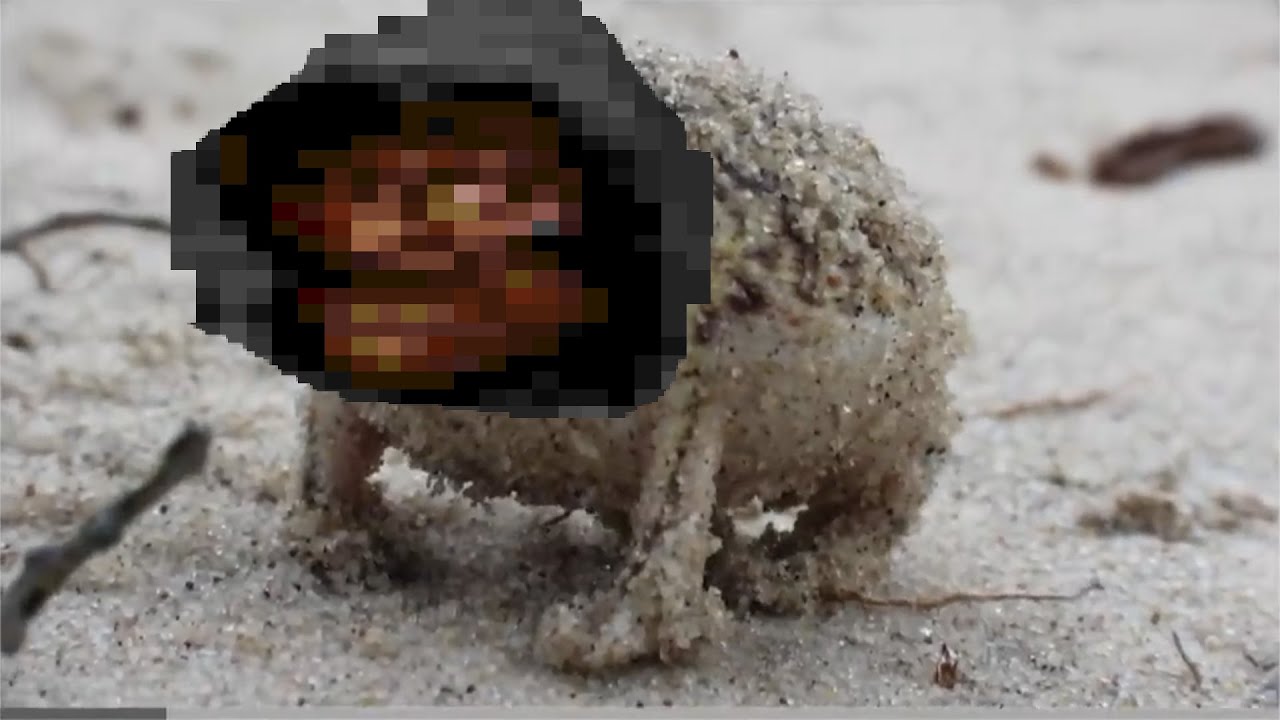 A very angry cultist frog