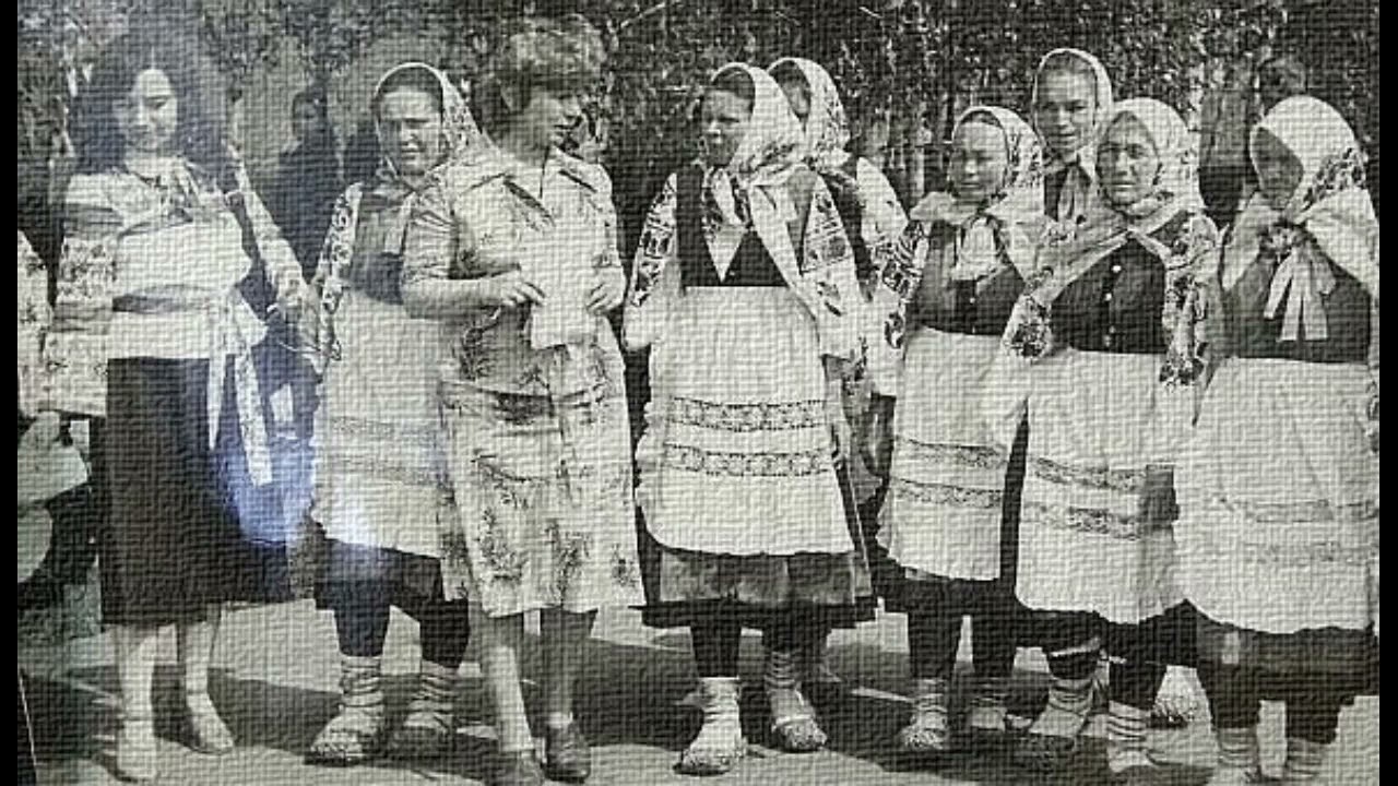 Поза лугом зелененьким брала вдова льон дрібненький (лірична)