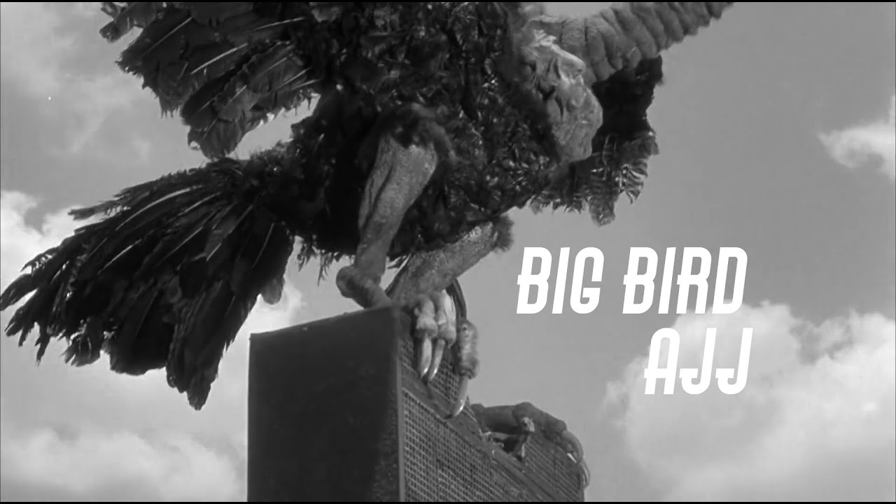 ajj - big bird unofficial music video