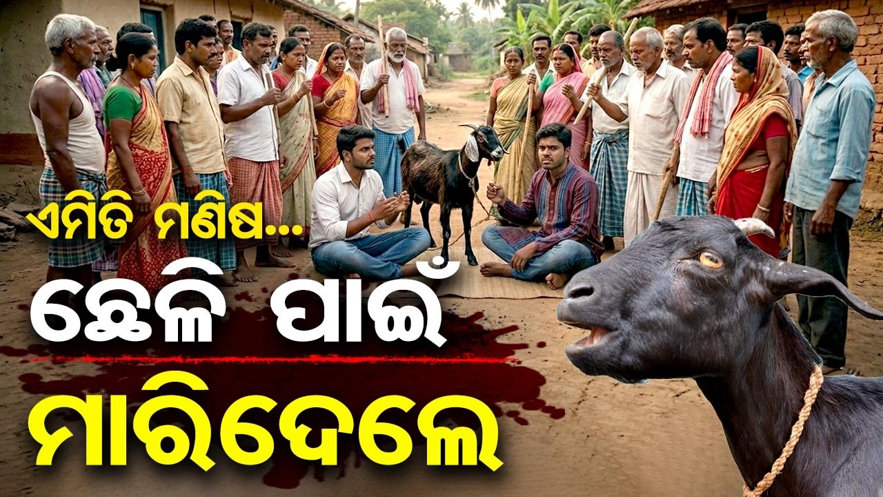 ସୀମା ଟପିଲା ବର୍ବରତା ... ଛେଳି ପାଇଁ ମାରିଦେଲେ  |Baripada | Odisha Reporter