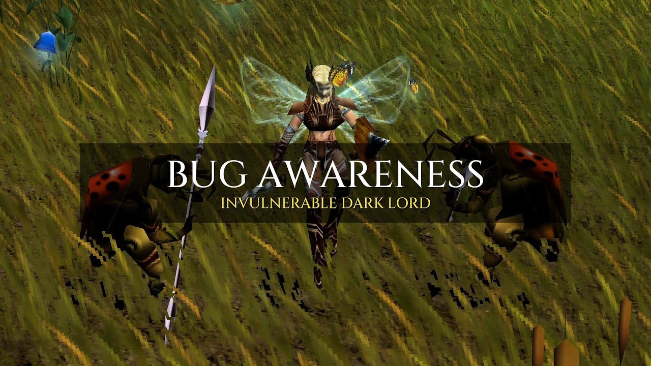 Bug Awareness - Invulnerable Dark Lord - Global MU Online (Webzen) 17.2