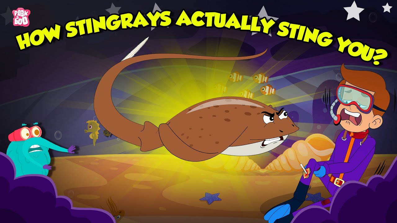 Stingrays Defense Mechanism | How Stingrays Actually Stings You? | How to Survive | Dr. Binocs Show