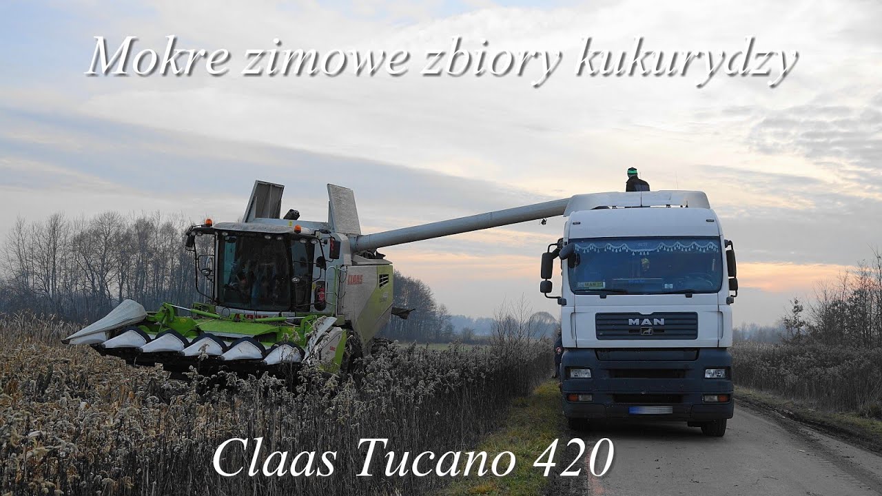 Mokre Grudniowe kukurydziane manewry || Claas Tucano 420 || odc.44 ||