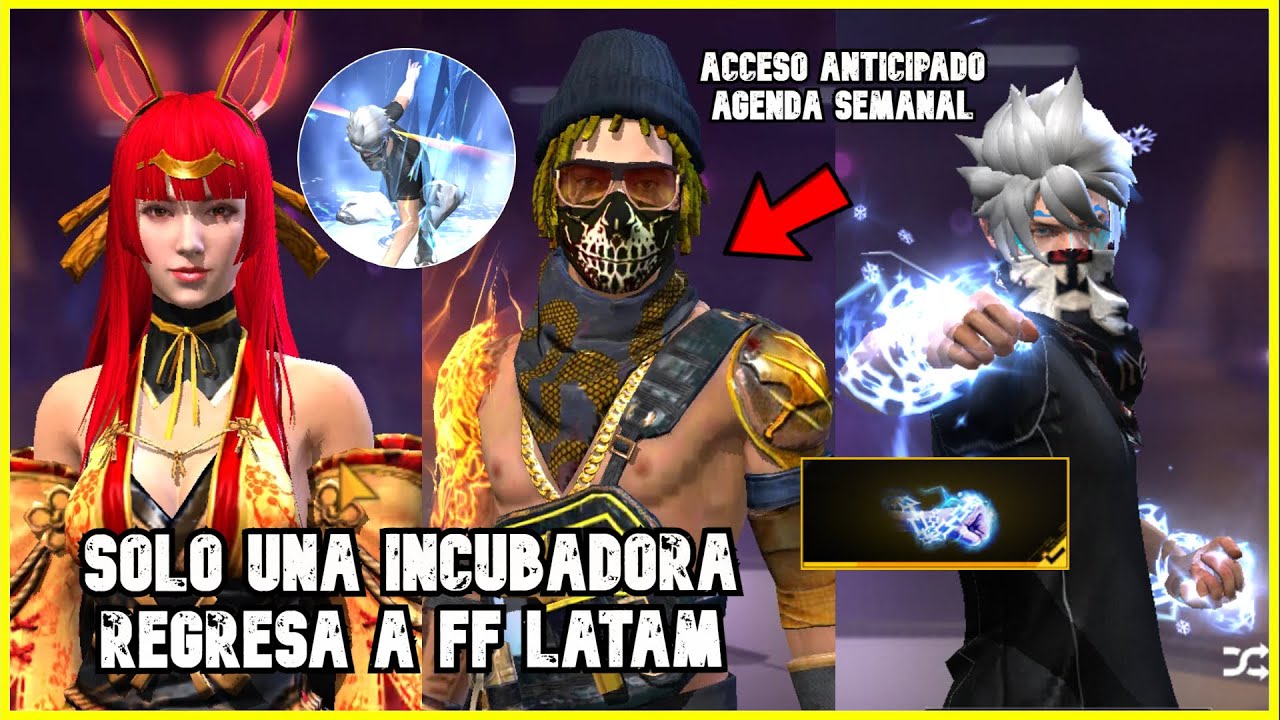 SALIÓ ¡PUÑOS de NAVIDAD INCUBADORA PANDILLEROS INTERCAMBIO de TOKENS AGENDA SEMANAL EMOTE FF LATAM