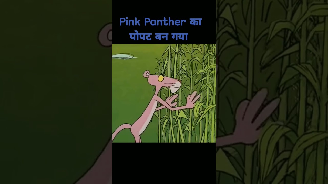 Pink panther Vs Crow |Funny Cartoon| 