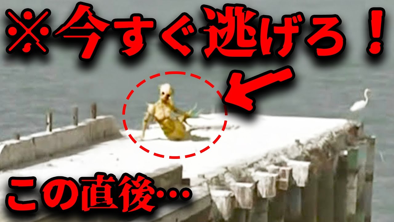 【ゆっくり解説】「※必ず後悔するトラウマ映像」あなたには小屋に潜む怨霊が見えますか？【総集編】