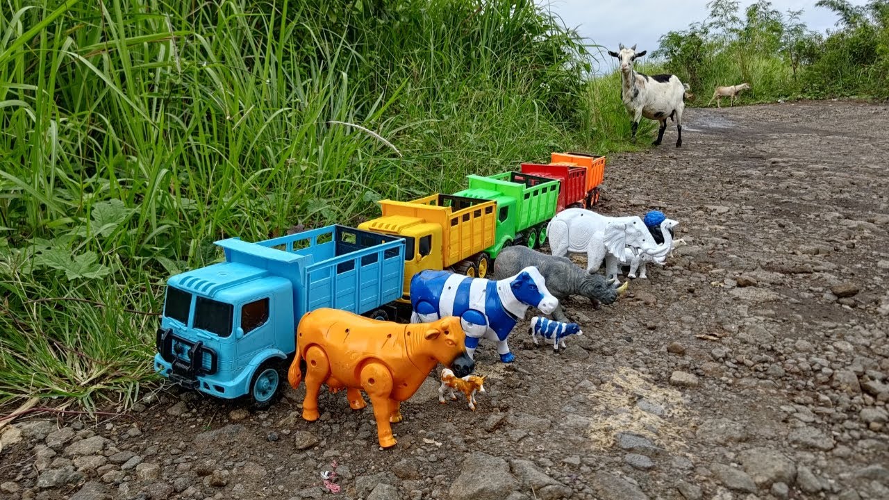 Wow‼️ Angkut Sapi Kurban Gajah Kambing dan Badak dengan Truk Oleng