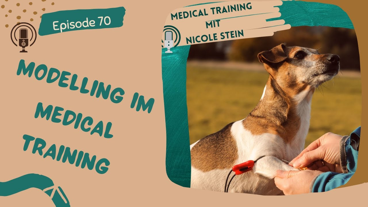 Modelling im Medical Training
