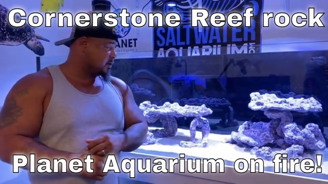 How to Aquascape new marine aquarium using Cornerstone Reef rock
