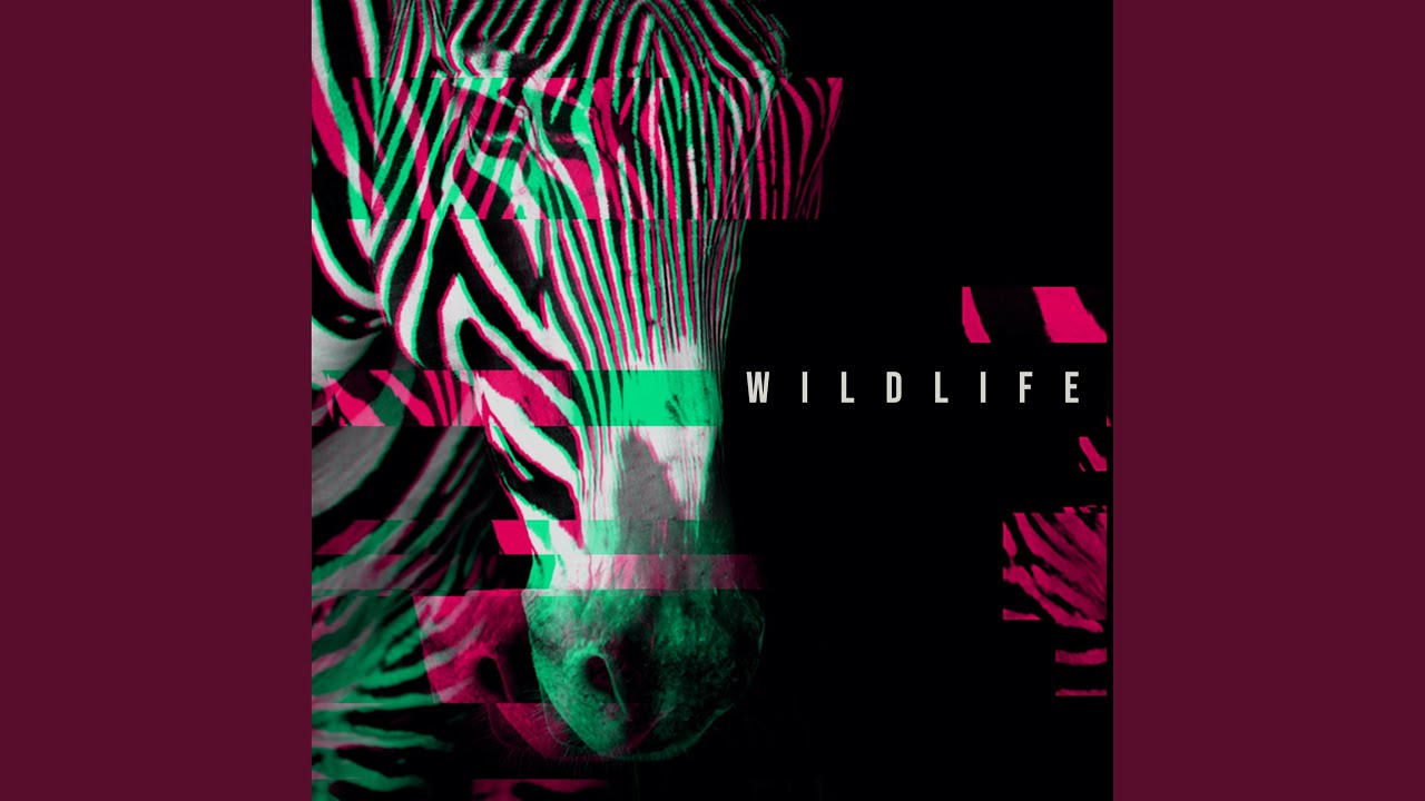 Safari