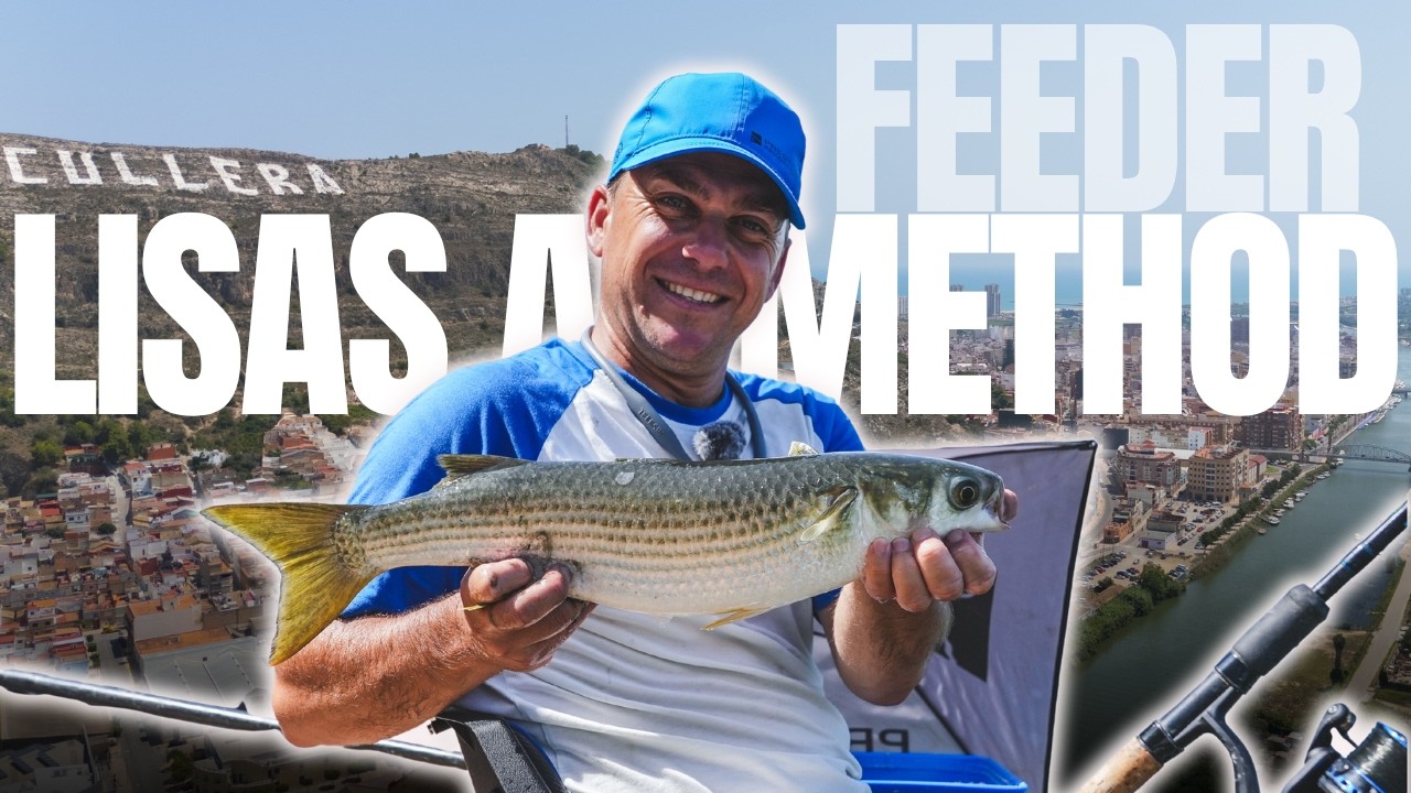 LISAS AL METHOD FEEDER EN CULLERA