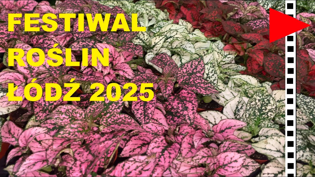 Festiwal Roślin Łódź 2025 (Relacja) - Kanal WjakW Odc.48