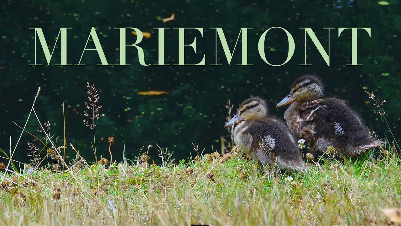 Parc de Mariemont &agrave; Morlanwelz [BE]