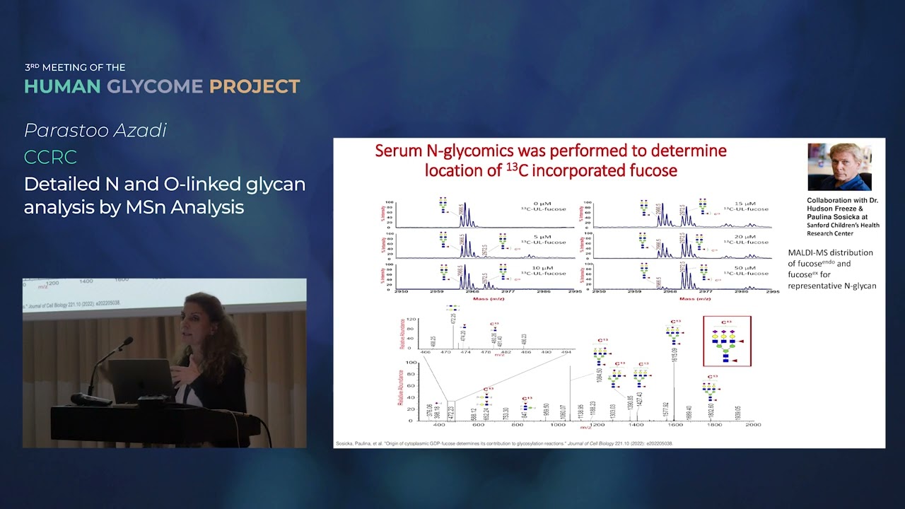 Dr Parastoo Azadi - Detailed N and O-glycan analysis by MSn analysis