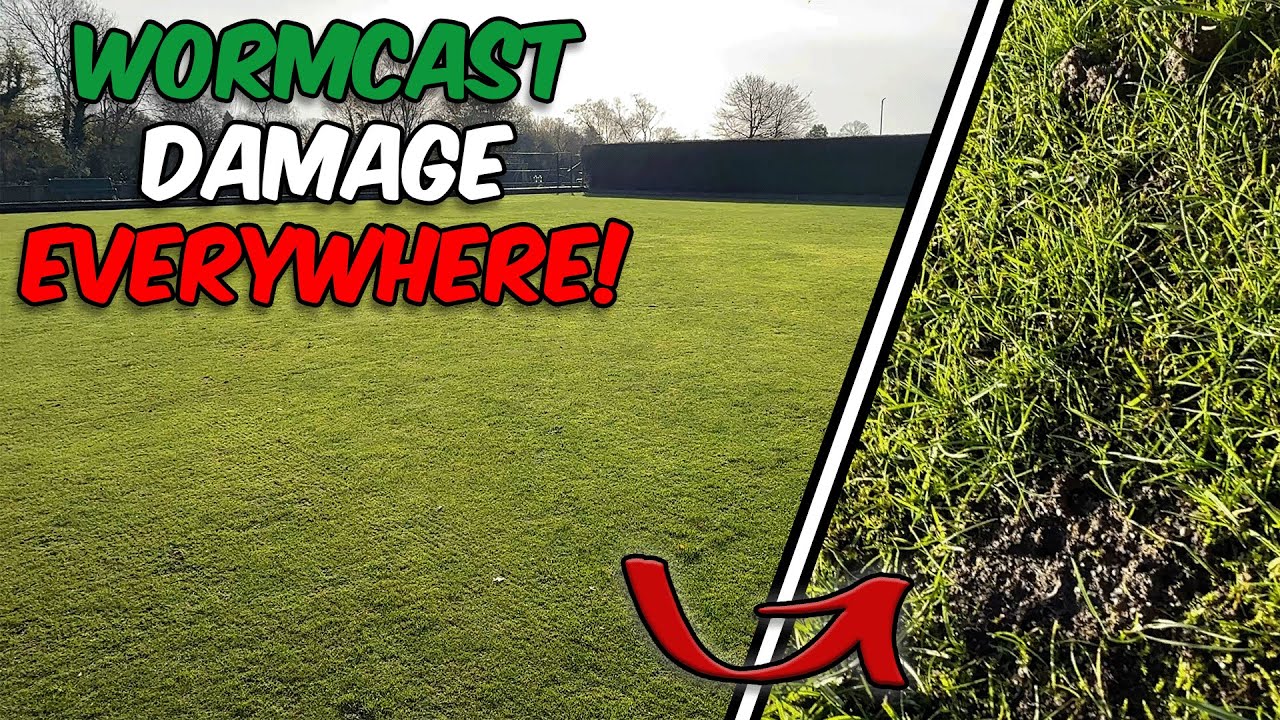 Wormcast DESTROYS This Bowls Green...