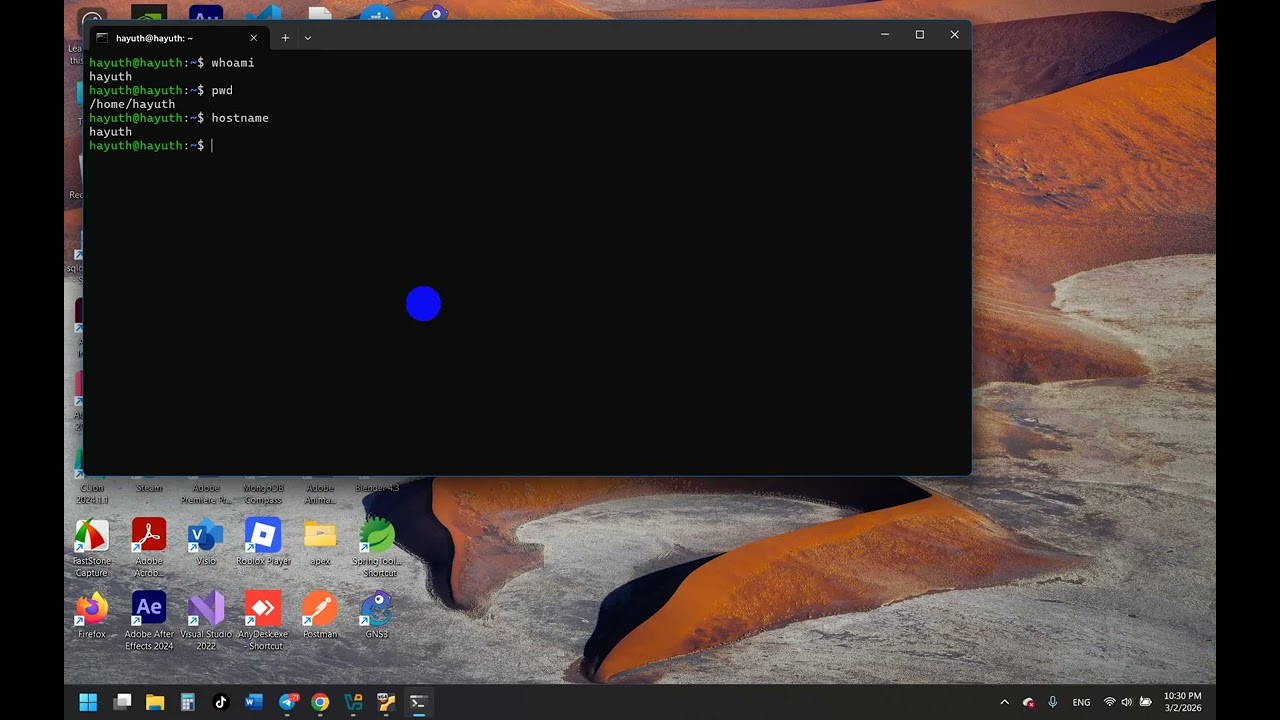 Hardware monitor