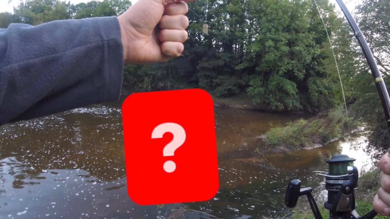 Freshwater River Fishing with a Surprise Catch!
