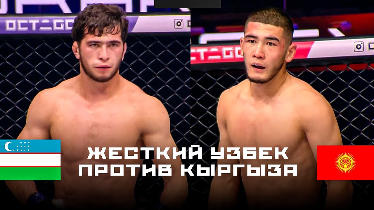 НОВЫЙ ЖЕСТКИЙ БОЙ: Кайнар Азимбаев (КР) - Шохрух Зокиров (УЗБ) / Octagon 81