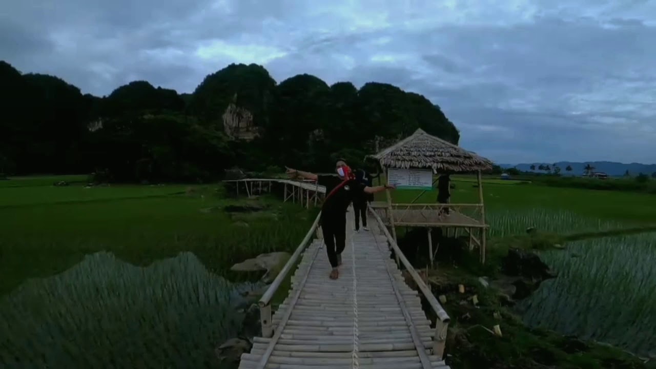 Piknik seru..