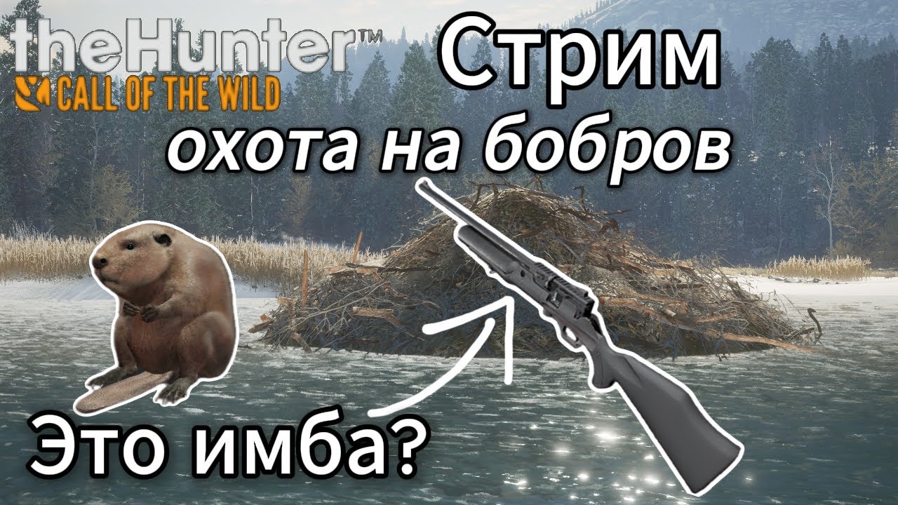 Охота на бобров в ASKIY RIDGE. theHunter: Call of the Wild