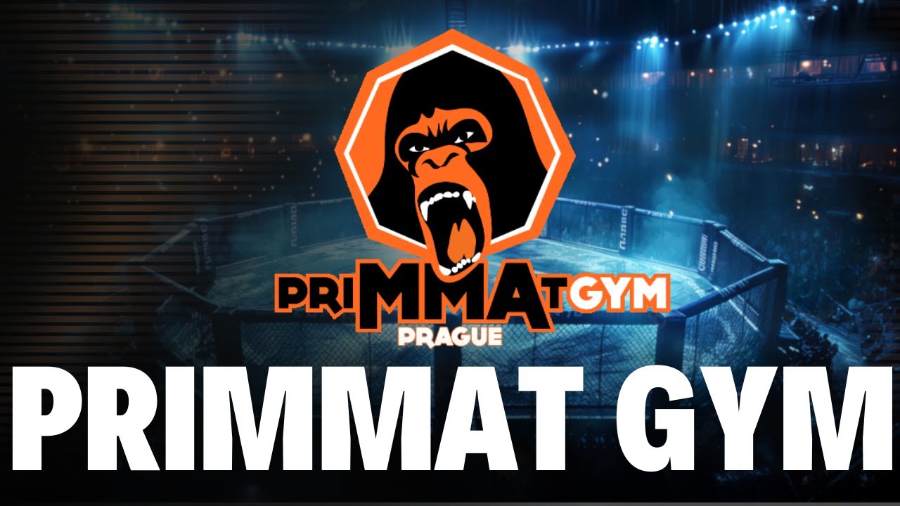 PRIMMAT GYM S DAVIDEM KOZMOU | Nejlepší MMA gymy v česku