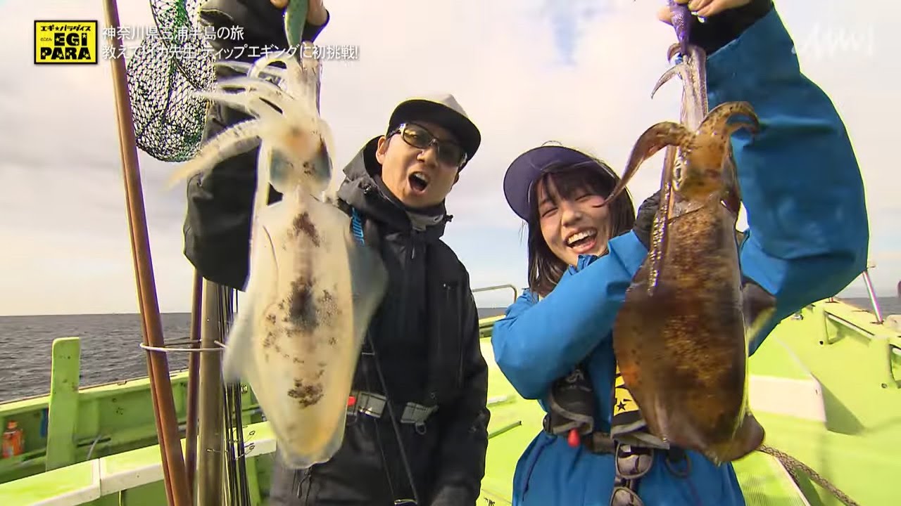 【とことんエギパラダイス】#139 神奈川県三浦半島の旅 教えてイカ先生 ティップエギングに初挑戦！