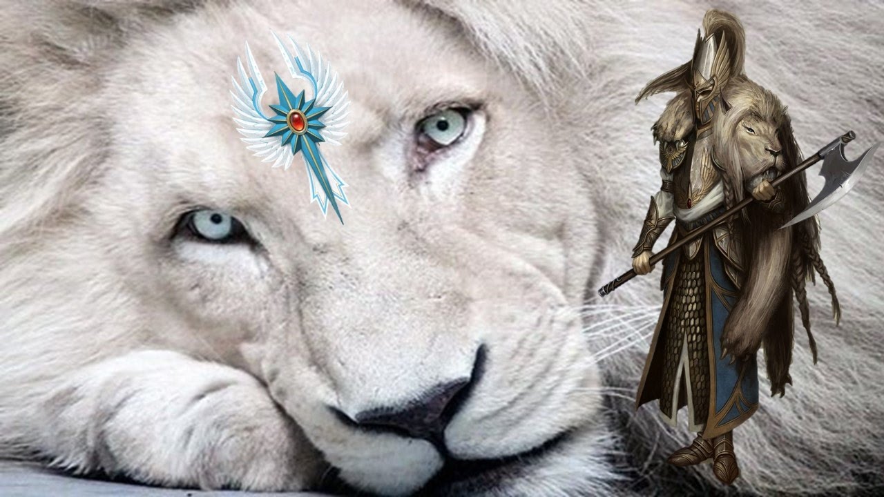 High Elves vs. The Empire - Call of Warhammer Beginning of the End Times Multiplayer Battle