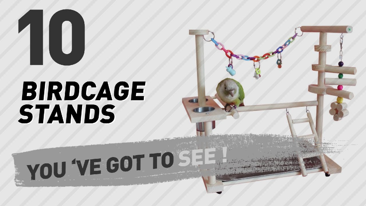 Top 10 Birdcage Stands // Birds Lover Channel Presents: