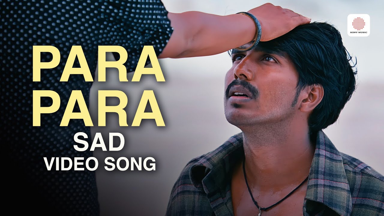 Neerparavai - Para Para (Sad) Video Song | Vishnu Vishal, Sunaina | N.R. Raghunanthan | Chinmayi