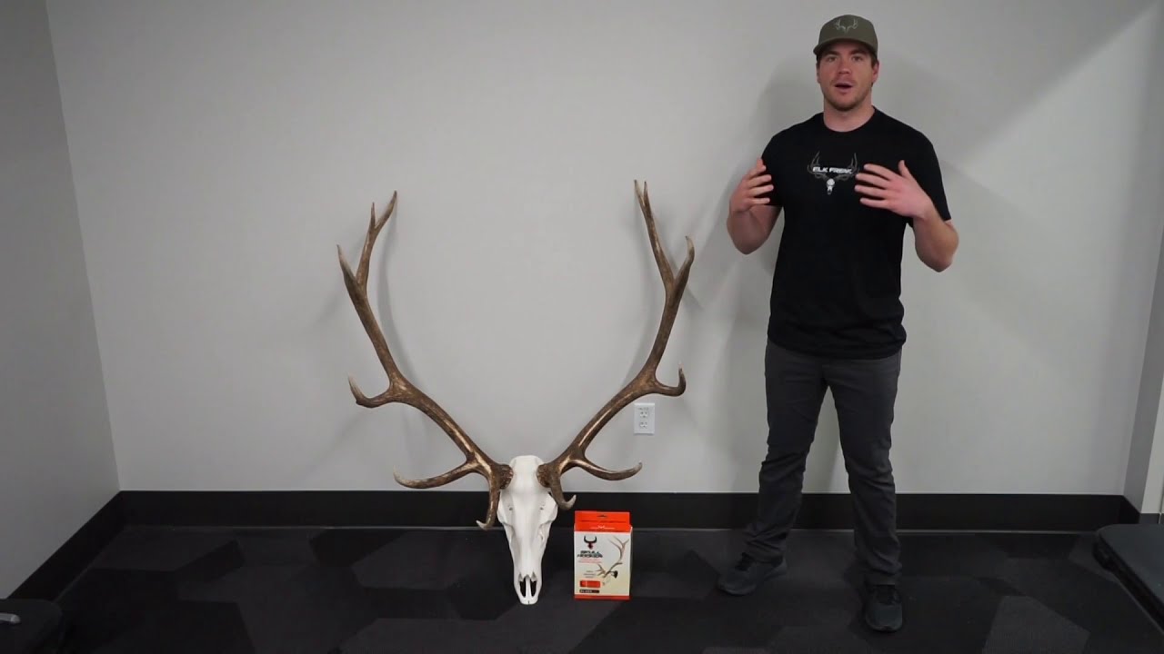 How to Hang Elk Euro with a Skull Hooker