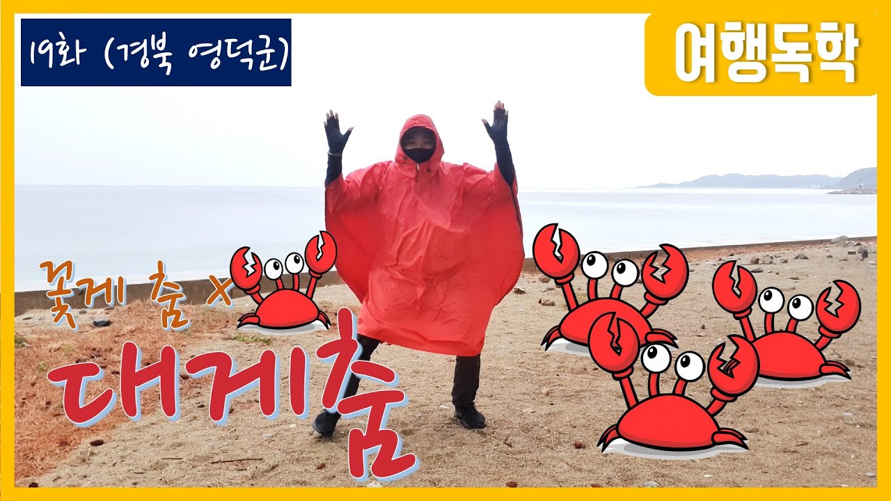 꽃게춤? 영덕에 왔으면 대게춤이지 [여행독학 19화] 국토대장정 영덕군 고래불해수욕장 여행 2000km 여행