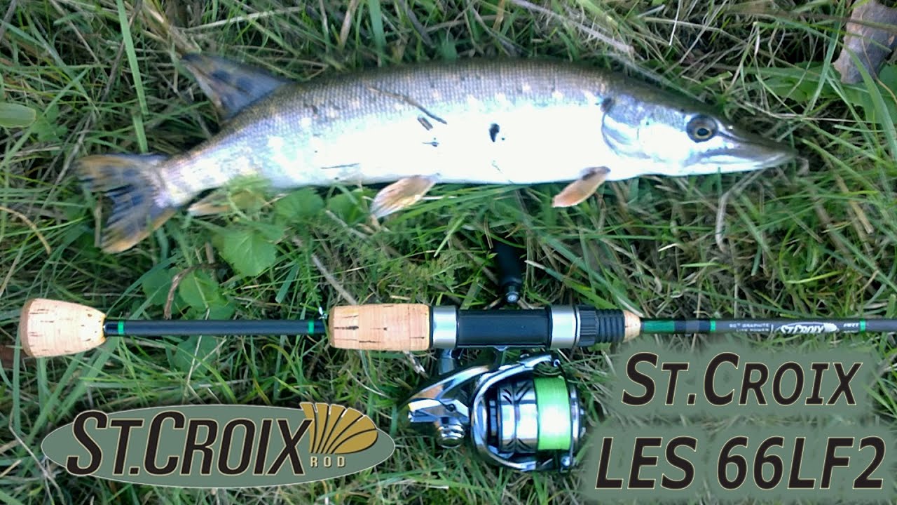 Обзор кастомного St.Croix Legend Elite LES66LF2 на микро реке, с двух попыток и одного постскриптума