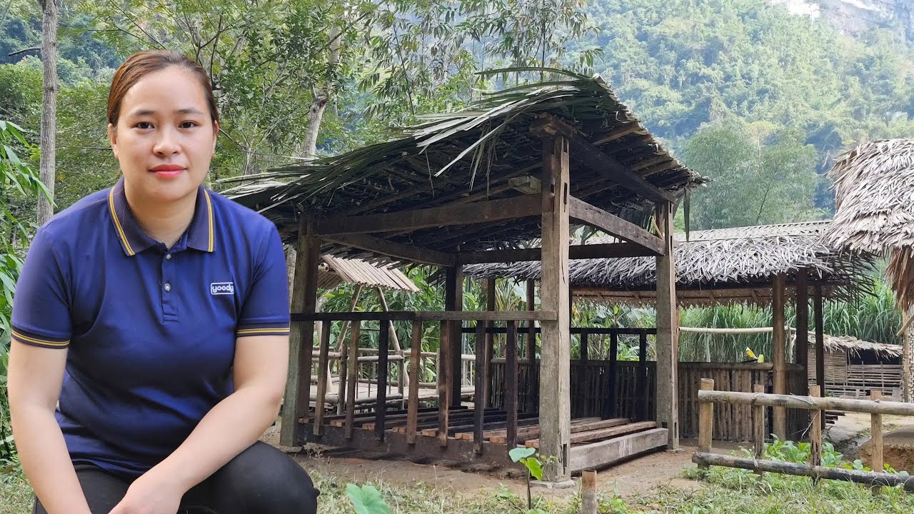 The Girl Built Wooden Shed Alone to Store Firewood For The Winter. Daily Life | Ly Mai Ca
