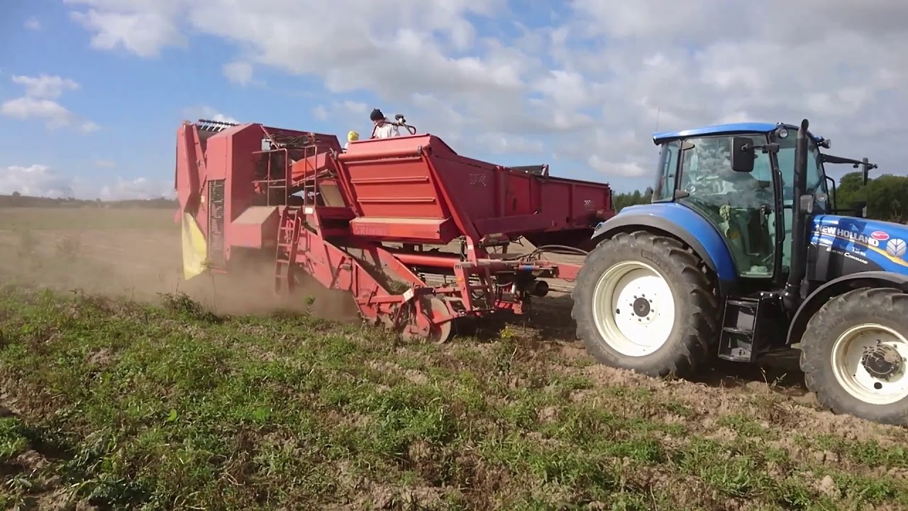 Zbiór ziemniaków |New Holland T5.95 EC + Grimme SR80-40