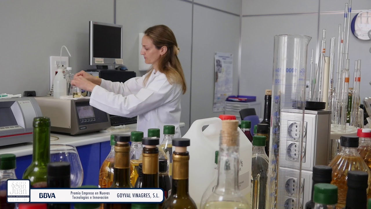 Empresa en Nuevas Tecnologías e Innovación: GOYVAL VINAGRES, S.L. (Madrigueras)