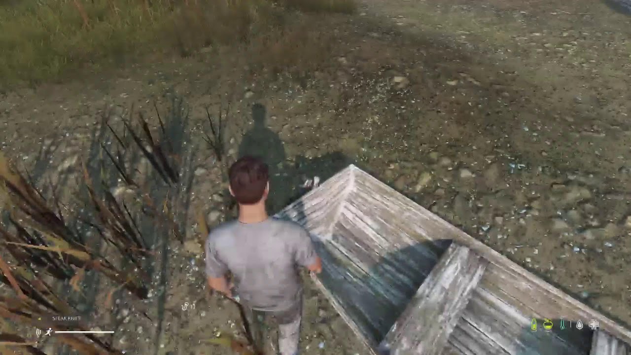 DayZ Noob... Help!