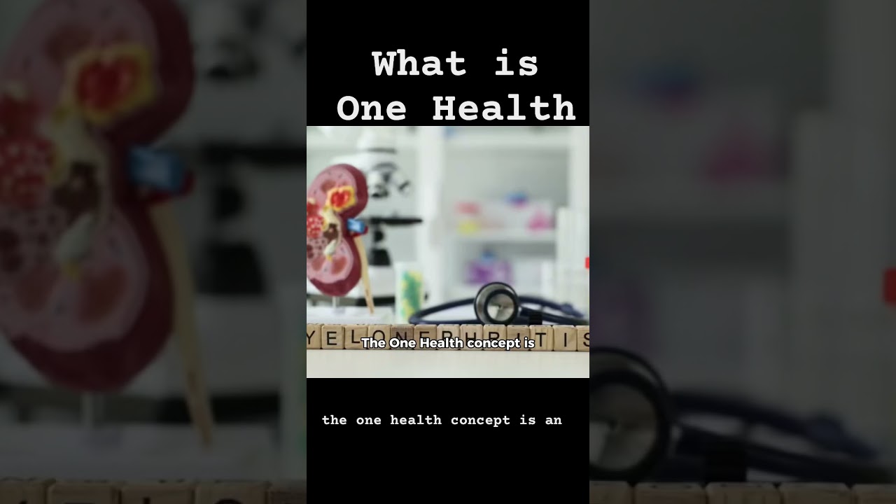 One Health approach