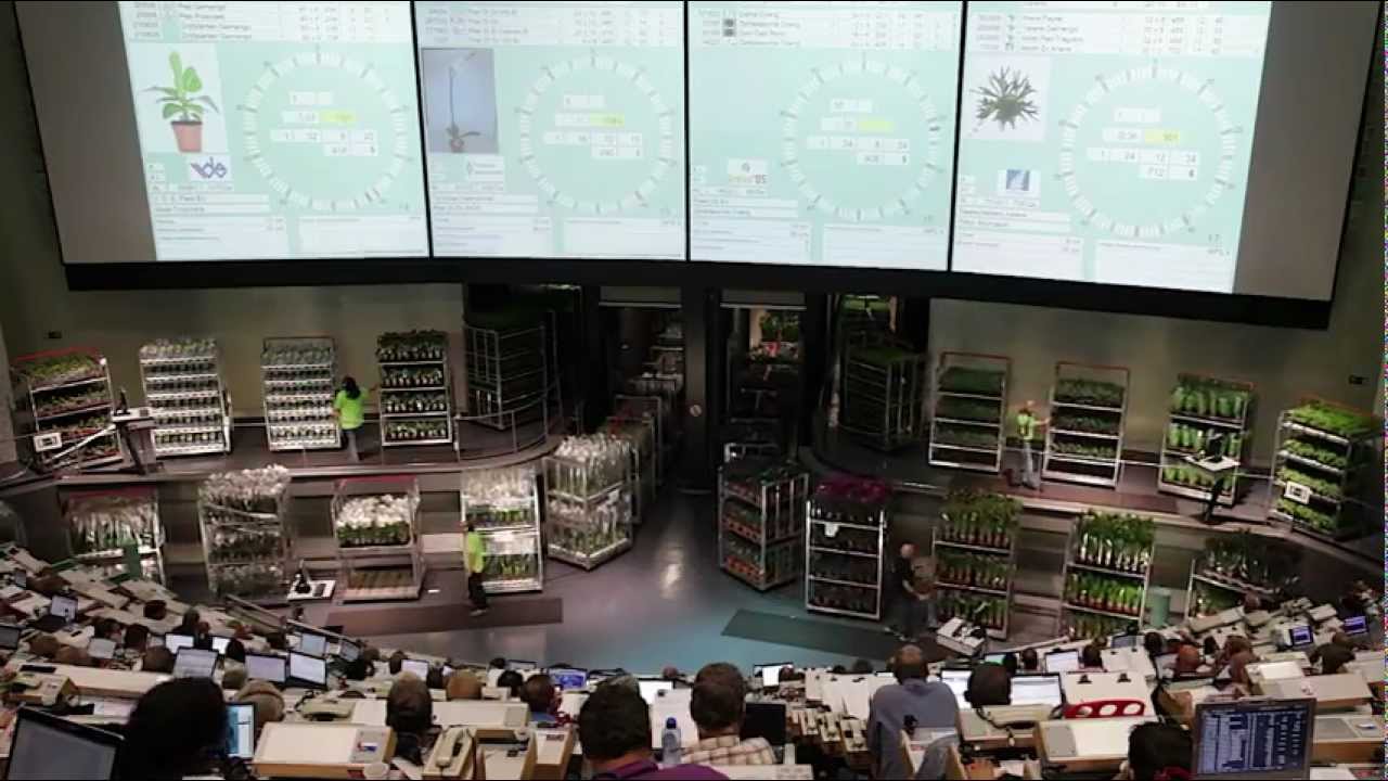 OZPlanten | promotional film