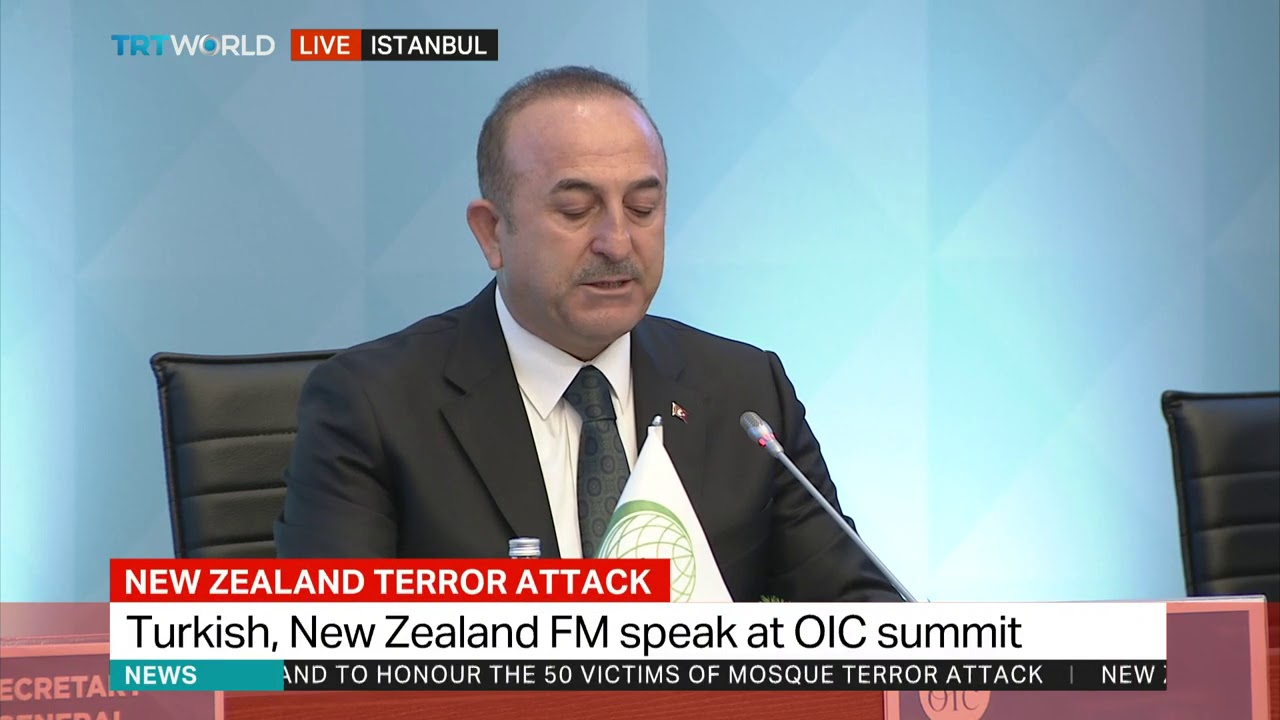 Turkish FM addresses OIC summit in Istanbul