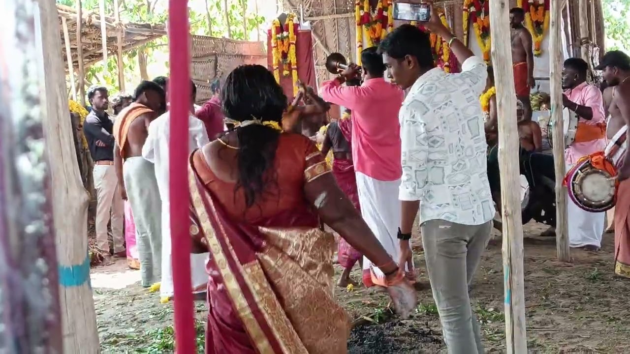 சிங்கார தோப்பு மன்னராஜா சுவாமி கோவில் திருவிழா -2026 கொண்டாட்டம்,  திருநெல்வேலி மாவட்டம்...